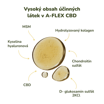 A-FLEX +CBD 500ml